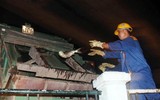Hà Nội: Trắng đêm vớt cá chết ở hồ Hoàng Cầu